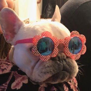 Meet your Posher, Karyn